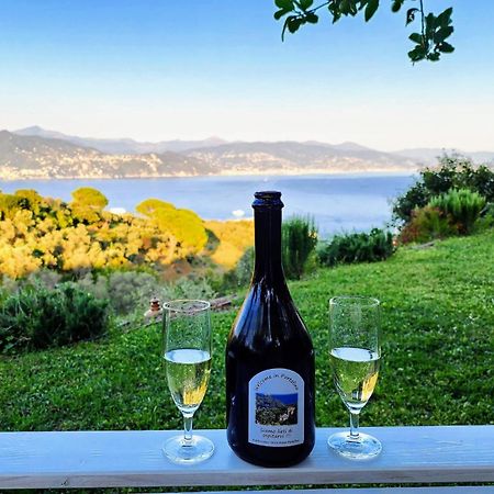 Agriturismo Terre Rosse Portofino Villa Luaran gambar