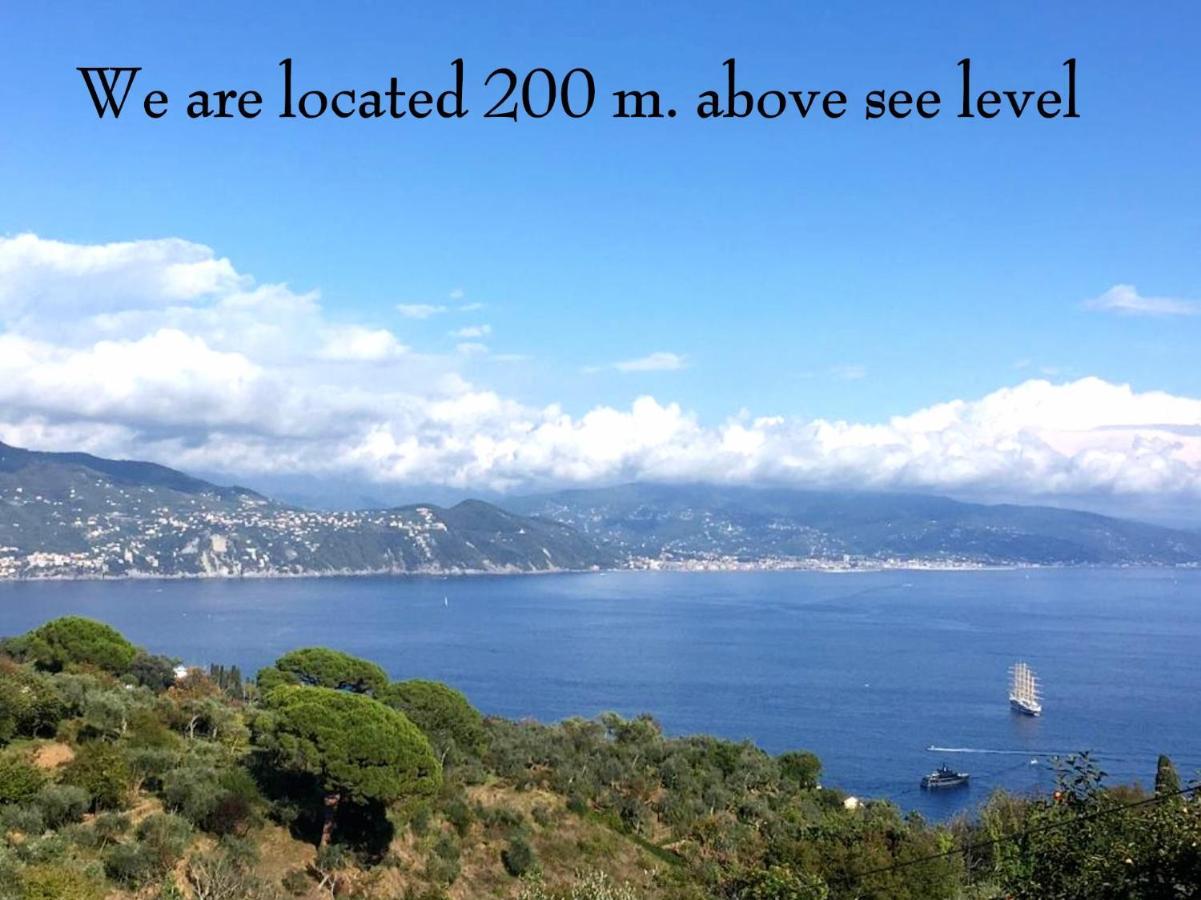 Agriturismo Terre Rosse Portofino Villa Luaran gambar