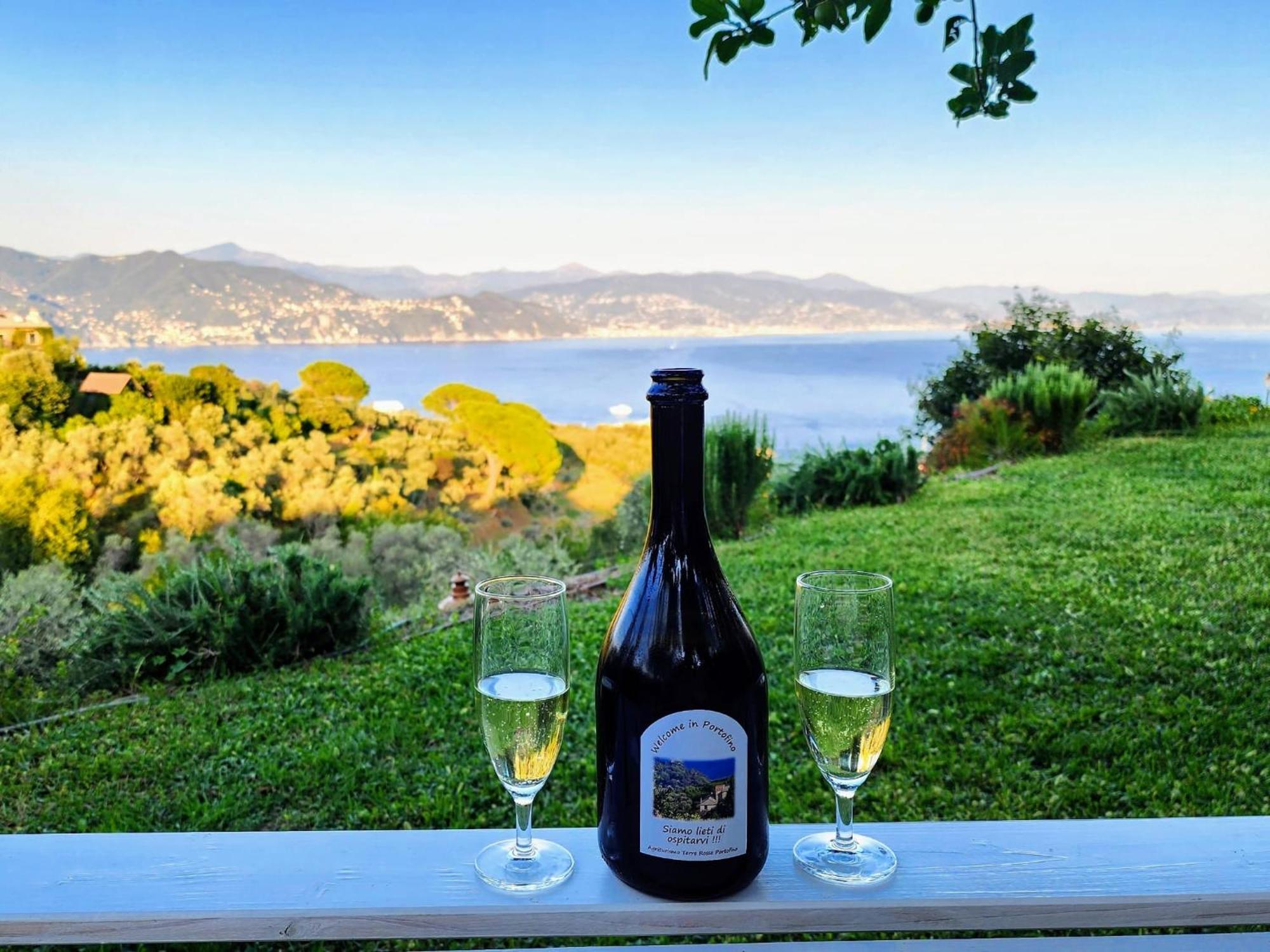 Agriturismo Terre Rosse Portofino Villa Luaran gambar